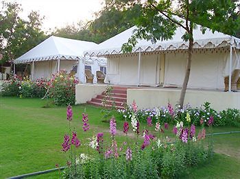 Jungle View Resort Sawai Madhopur Dış mekan fotoğraf