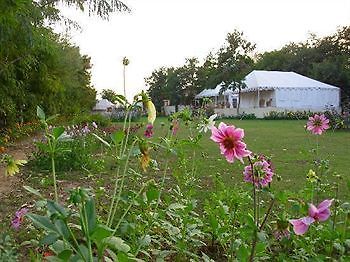 Jungle View Resort Sawai Madhopur Dış mekan fotoğraf
