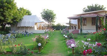 Jungle View Resort Sawai Madhopur Dış mekan fotoğraf